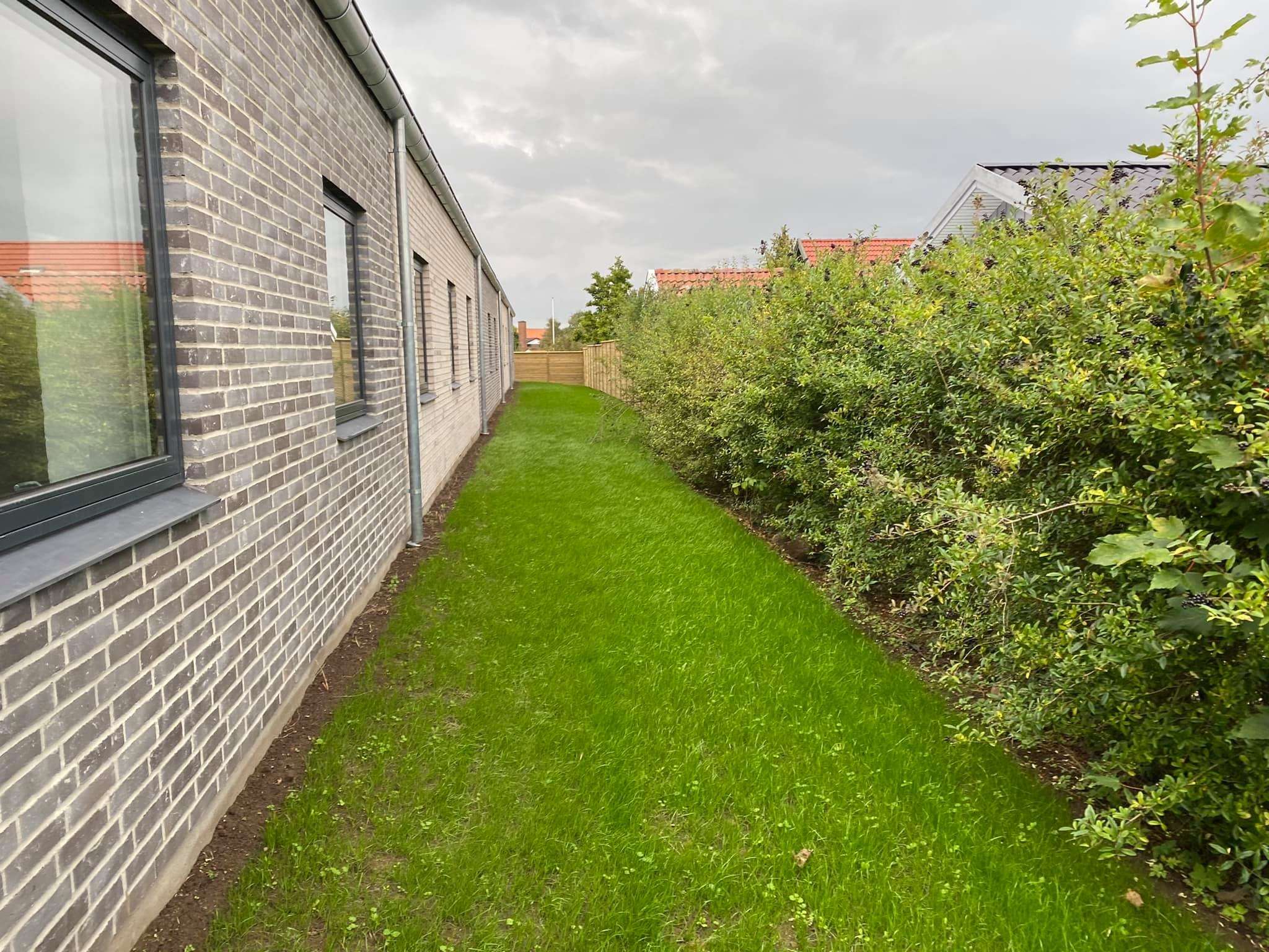 Ny græsplæne af Engelbreth Anlæg og Entreprise ApS